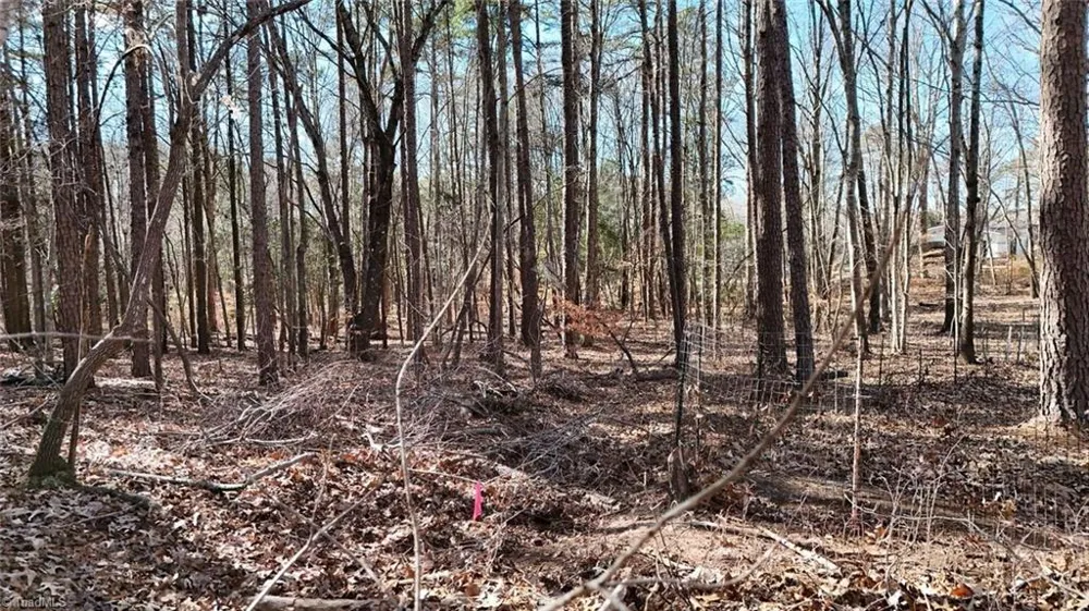 0 First Park Avenue Randleman, NC 27317