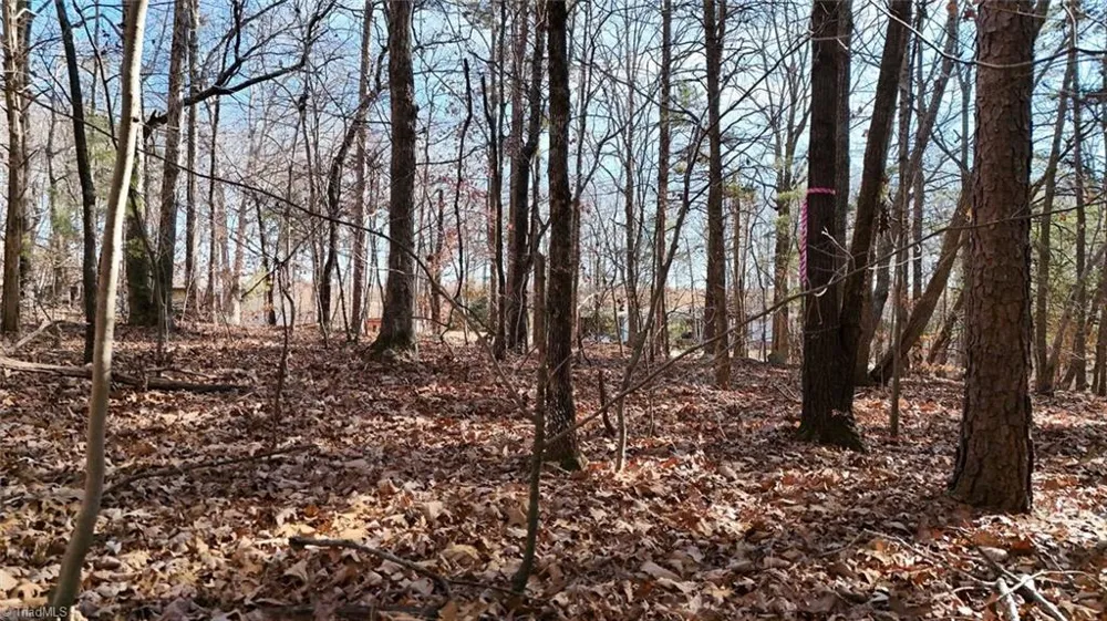 0 First Park Avenue Randleman, NC 27317