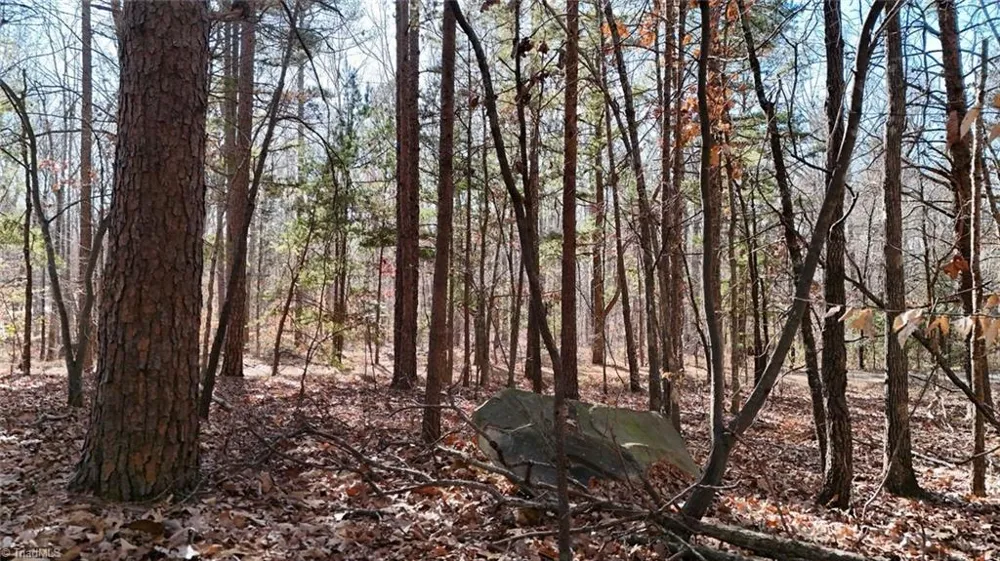 0 First Park Avenue Randleman, NC 27317