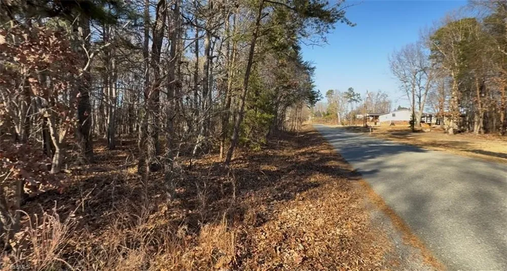 0 First Park Avenue Randleman, NC 27317