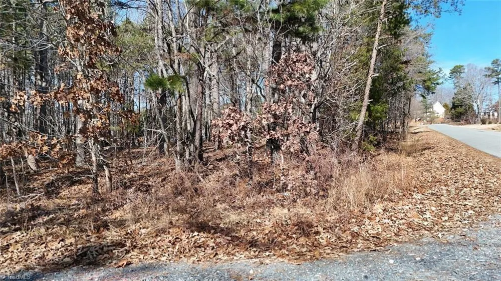 0 First Park Avenue Randleman, NC 27317