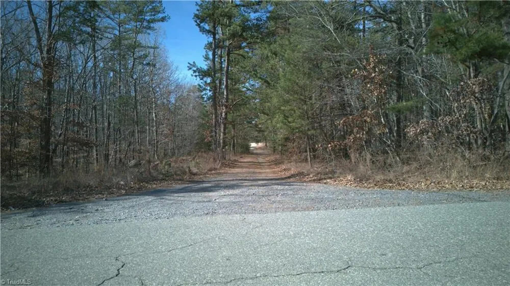 0 First Park Avenue Randleman, NC 27317