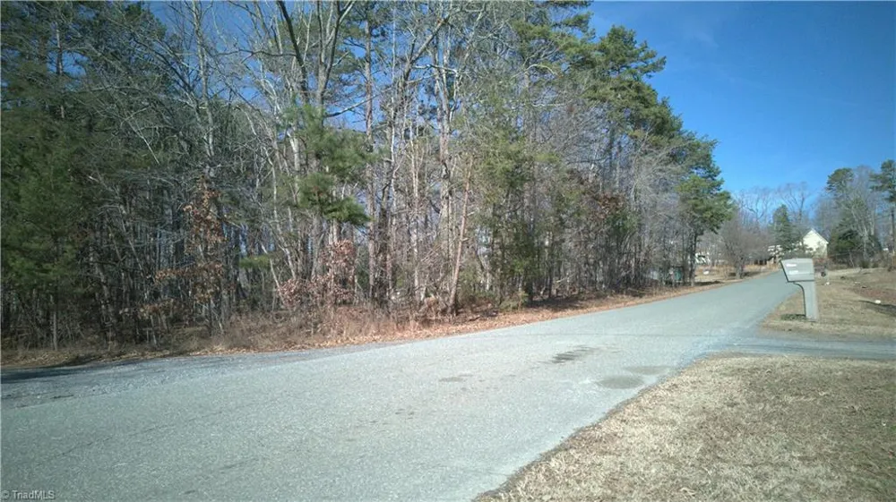 0 First Park Avenue Randleman, NC 27317