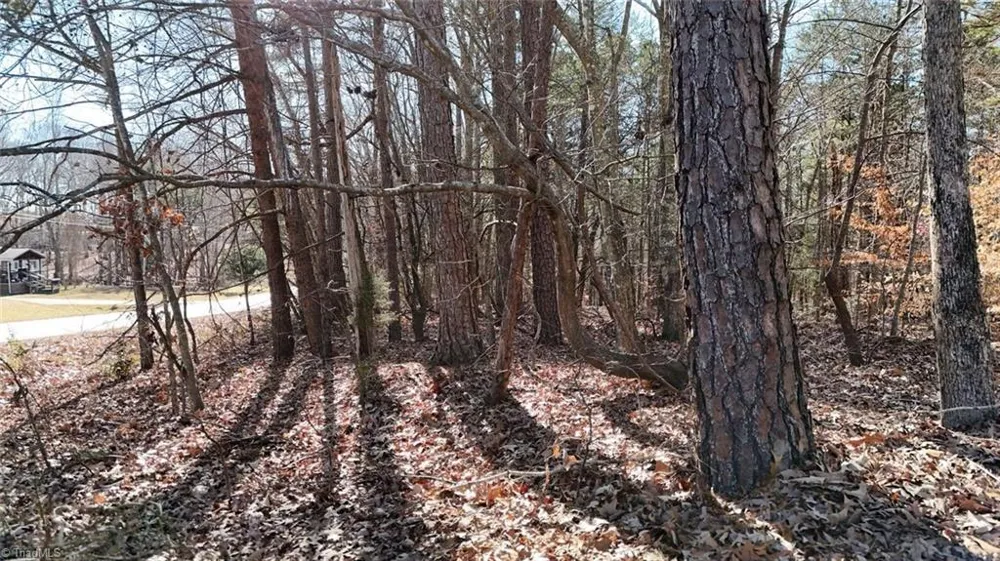 0 First Park Avenue Randleman, NC 27317