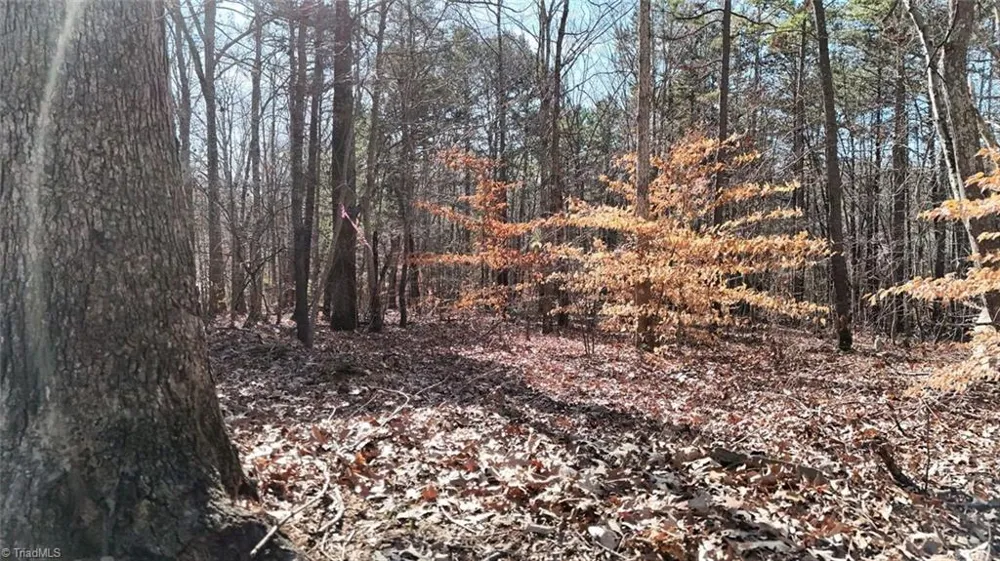 0 First Park Avenue Randleman, NC 27317
