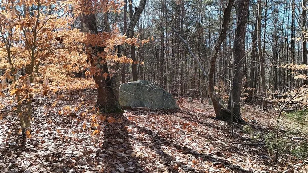 0 First Park Avenue Randleman, NC 27317