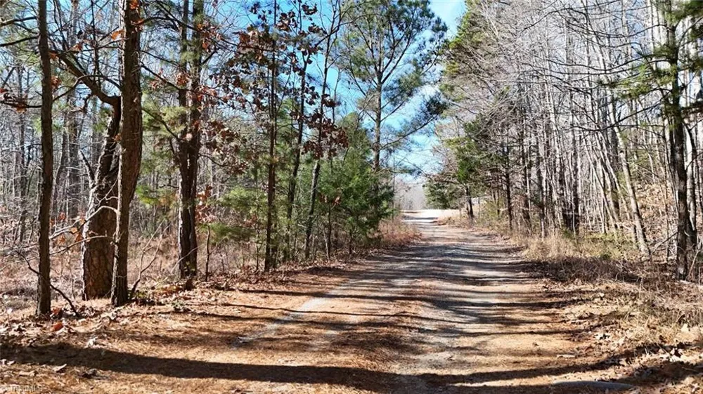 0 First Park Avenue Randleman, NC 27317