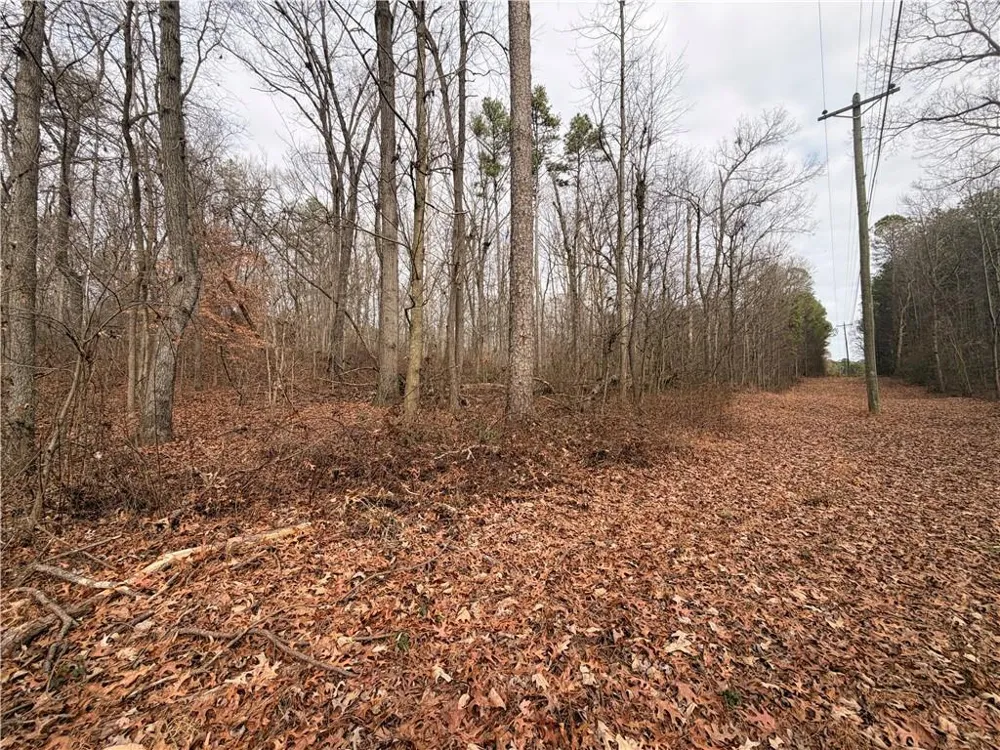 1830 Highway 27 Bremen, GA 30110