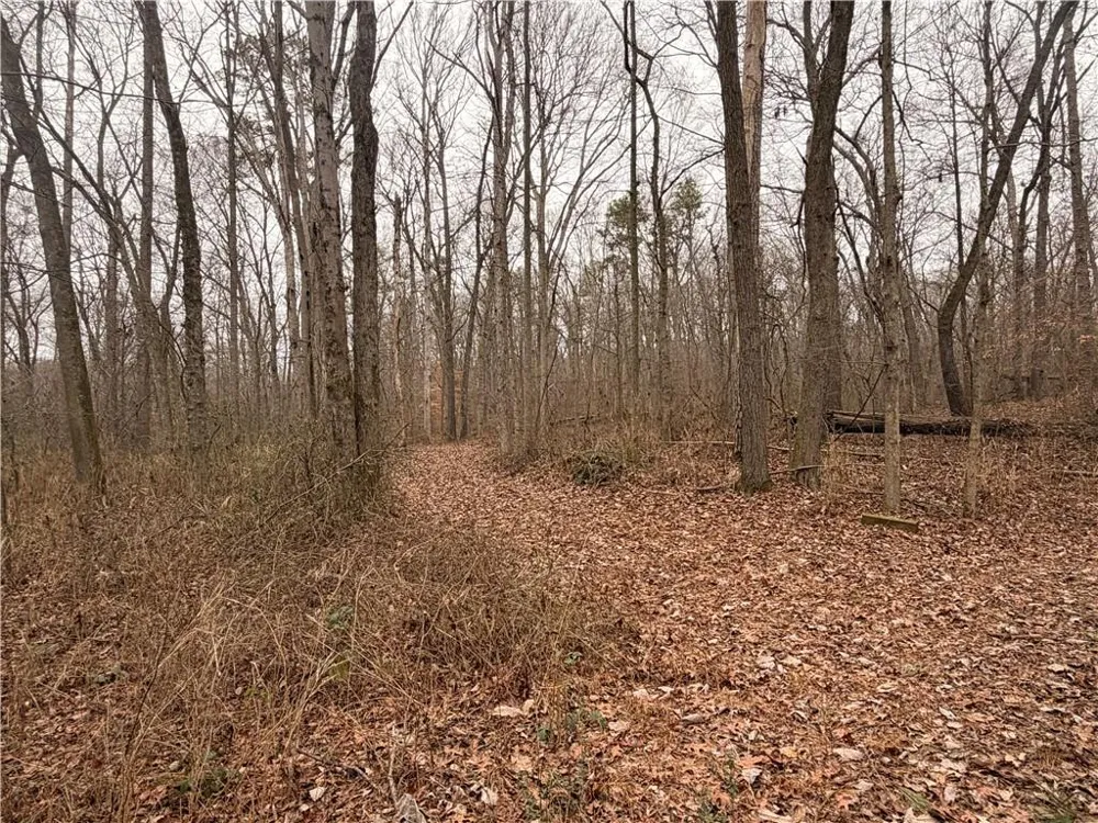 1830 Highway 27 Bremen, GA 30110