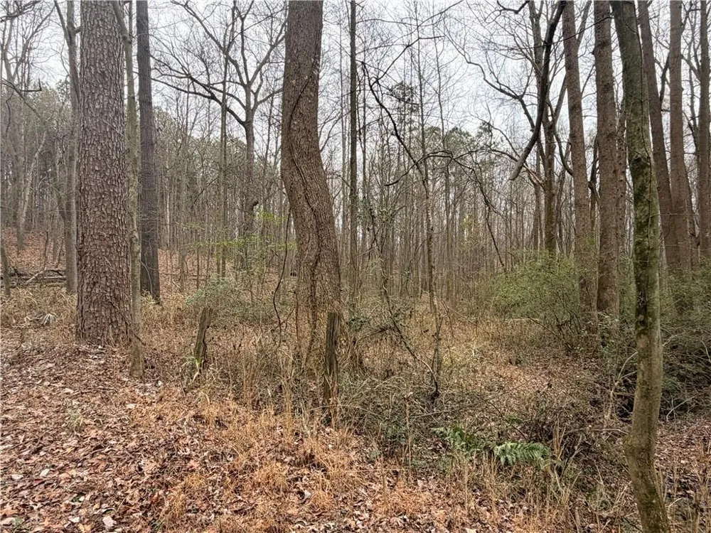1830 Highway 27 Bremen, GA 30110