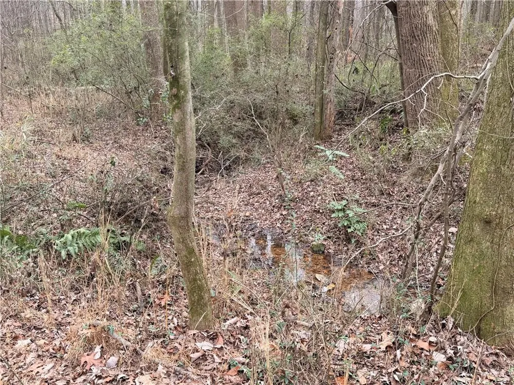 1830 Highway 27 Bremen, GA 30110