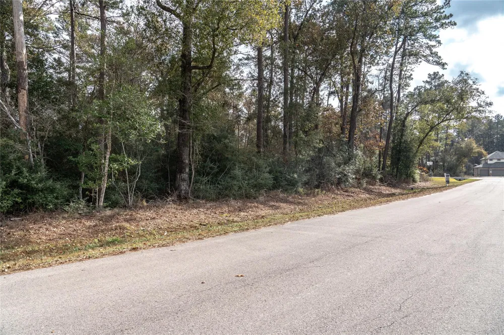 3010 Parthenon Place New Caney, TX 77357