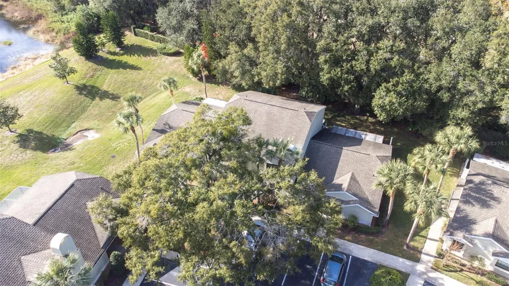 5100 BURCHETTE ROAD #4102 Tampa, FL 33647