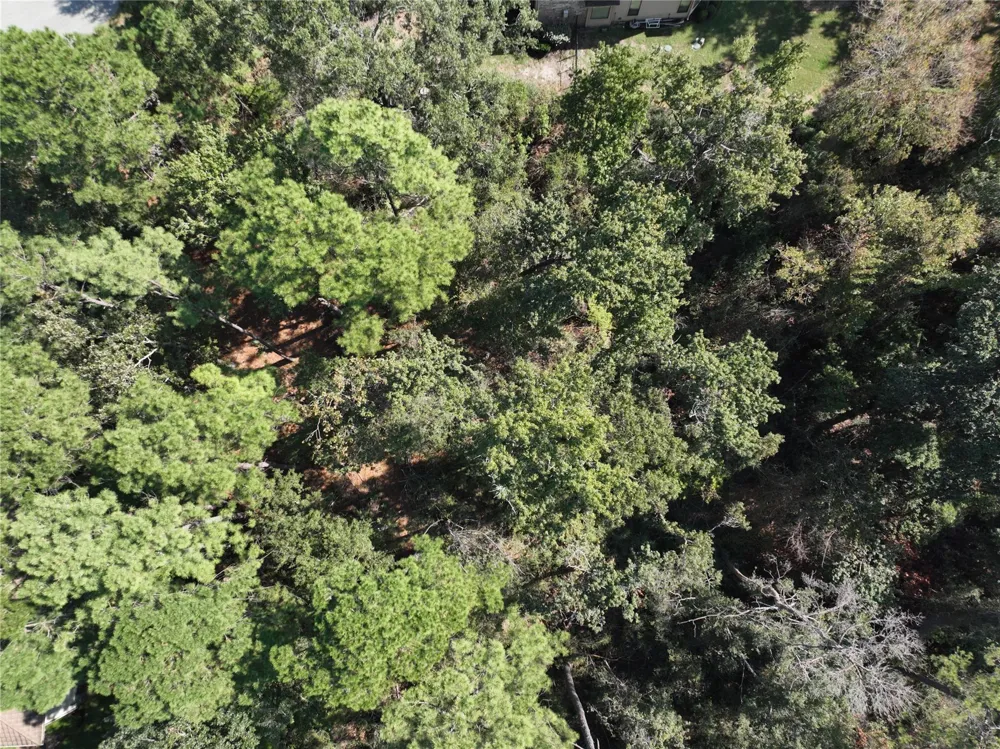 4242 Starling Stream Drive Spring, TX 77386
