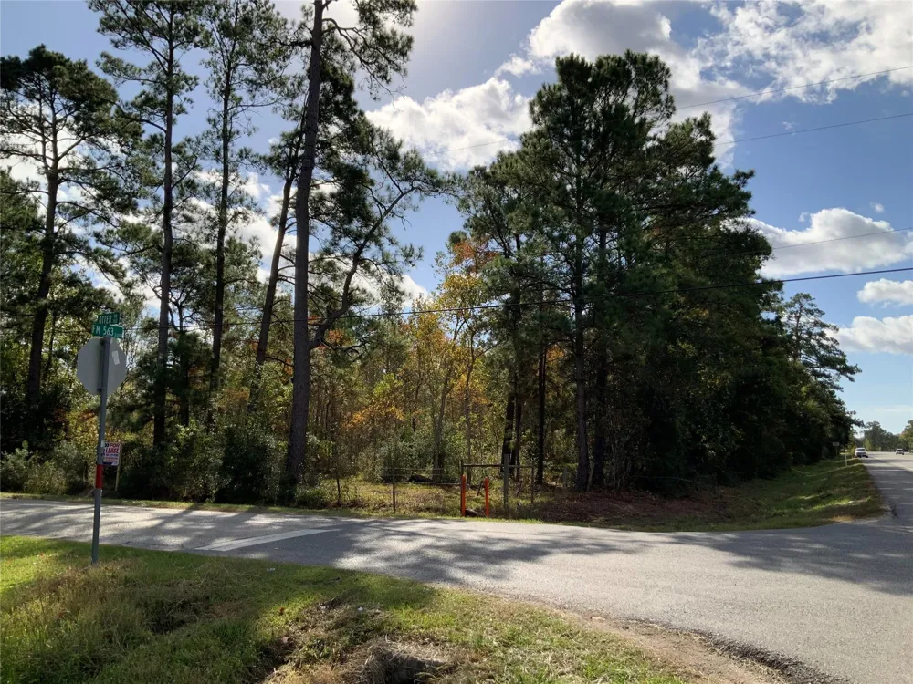 166 Otter Road Anahuac, TX 77514