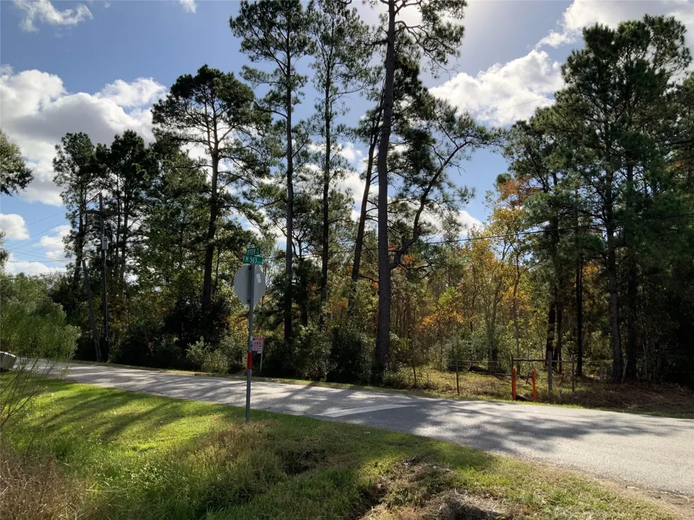 166 Otter Road Anahuac, TX 77514