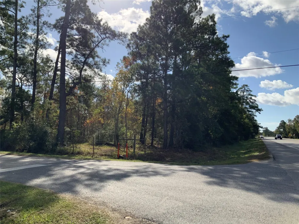 166 Otter Road Anahuac, TX 77514