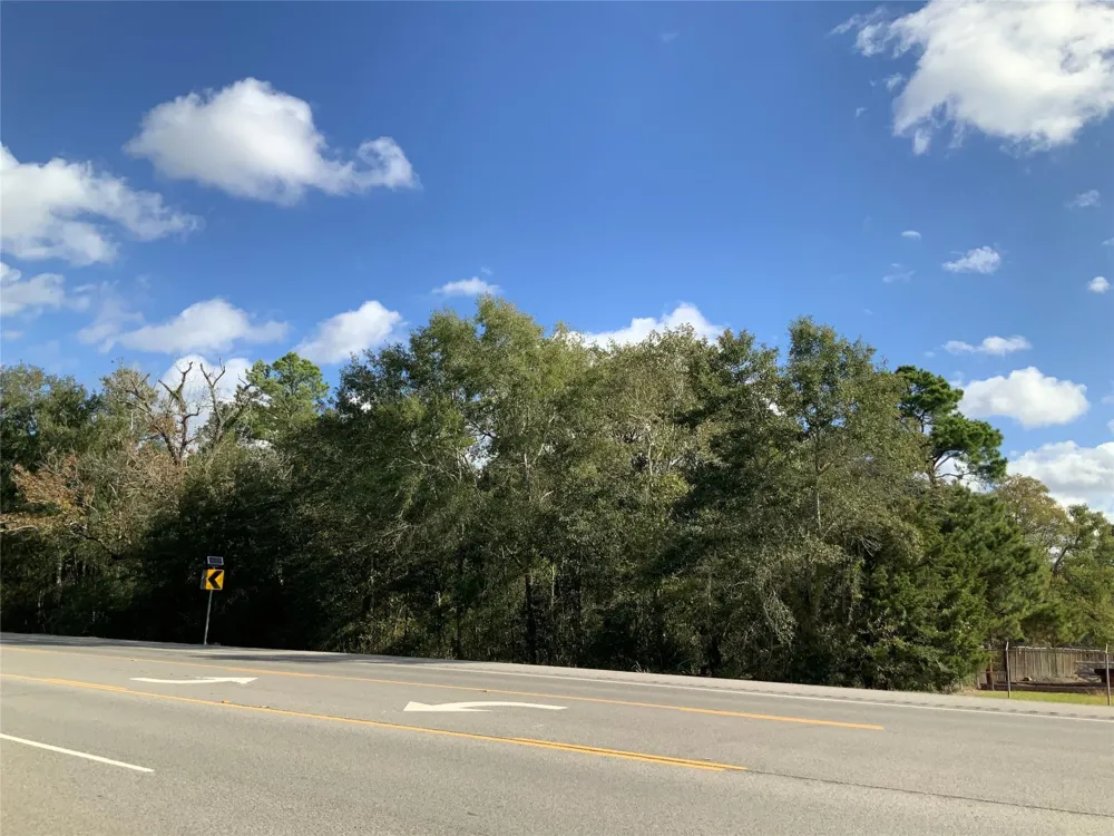 166 Otter Road Anahuac, TX 77514