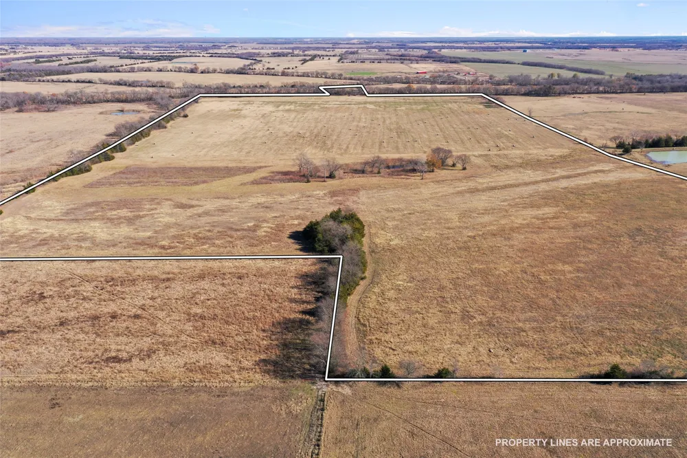 FM 13200 Blossom, TX 75416