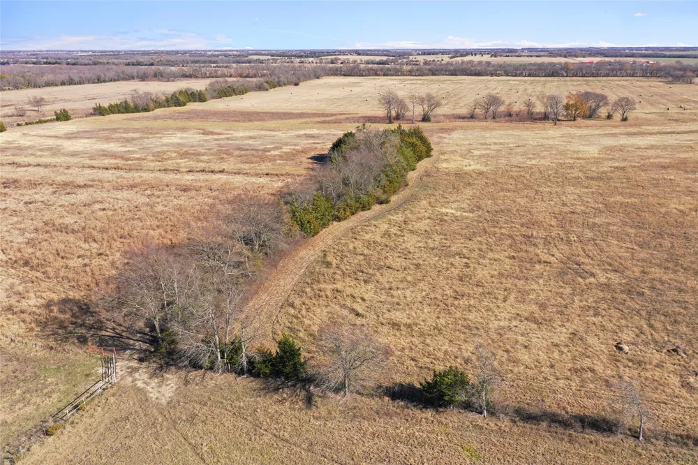 FM 13200 Blossom, TX 75416