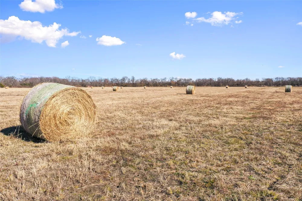 FM 13200 Blossom, TX 75416