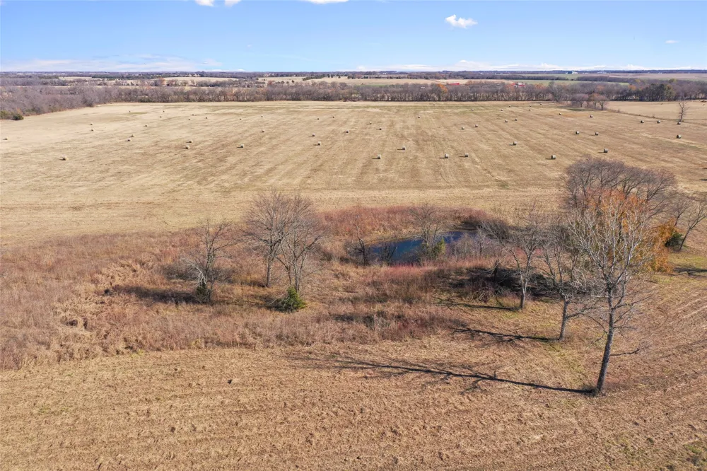 FM 13200 Blossom, TX 75416