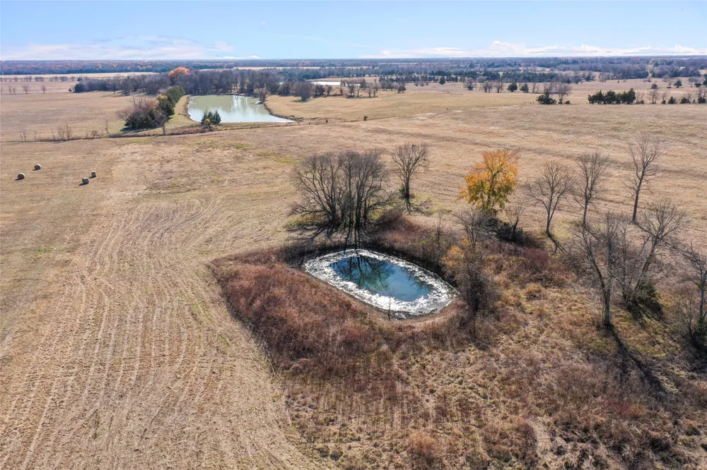 FM 13200 Blossom, TX 75416