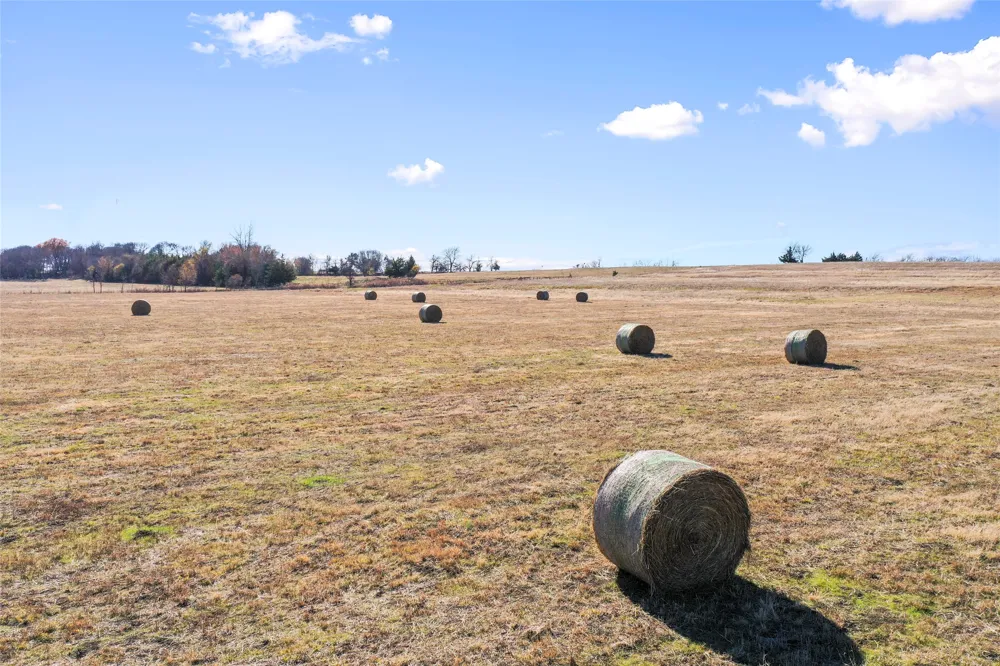 FM 13200 Blossom, TX 75416