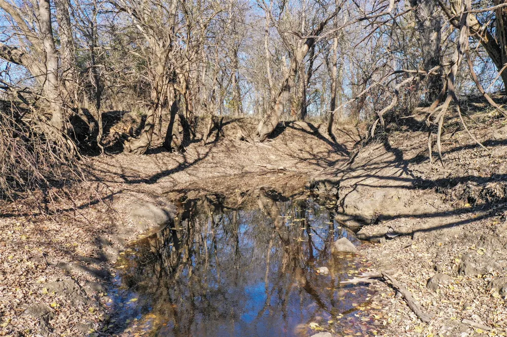 FM 13200 Blossom, TX 75416