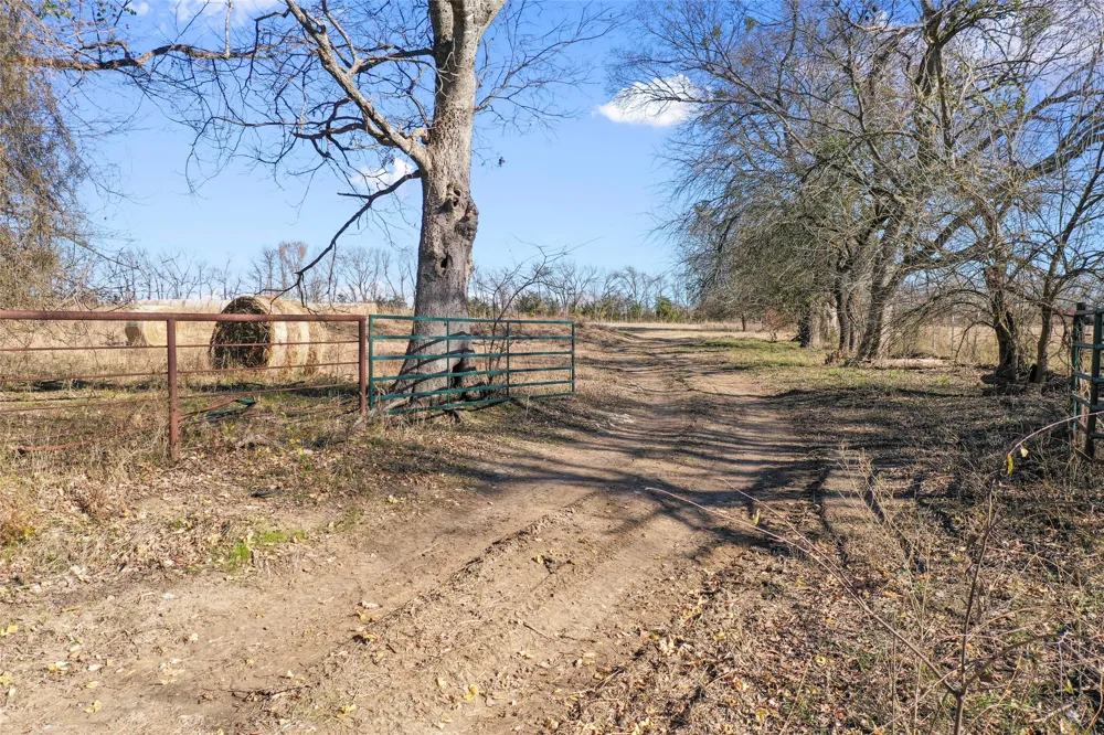 FM 13200 Blossom, TX 75416