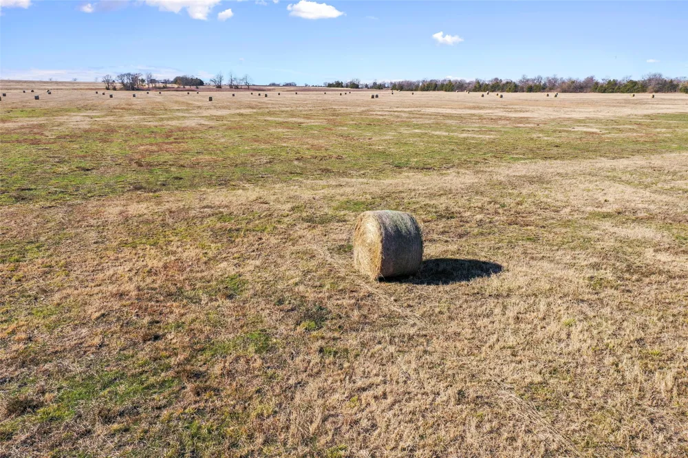 FM 13200 Blossom, TX 75416