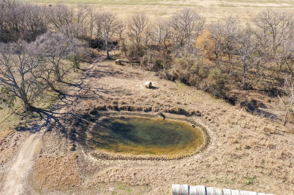 FM 13200 Blossom, TX 75416