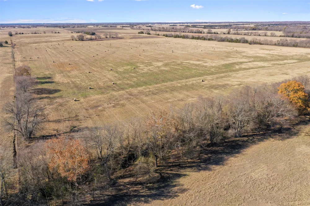 FM 13200 Blossom, TX 75416