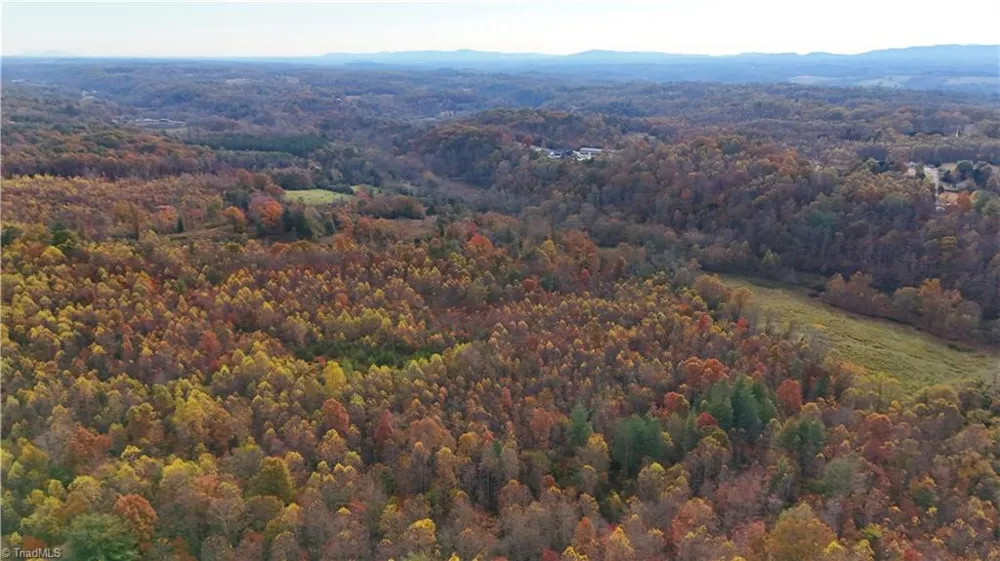 TBD Rock Creek Ch Road North Wilkesboro, NC 28659