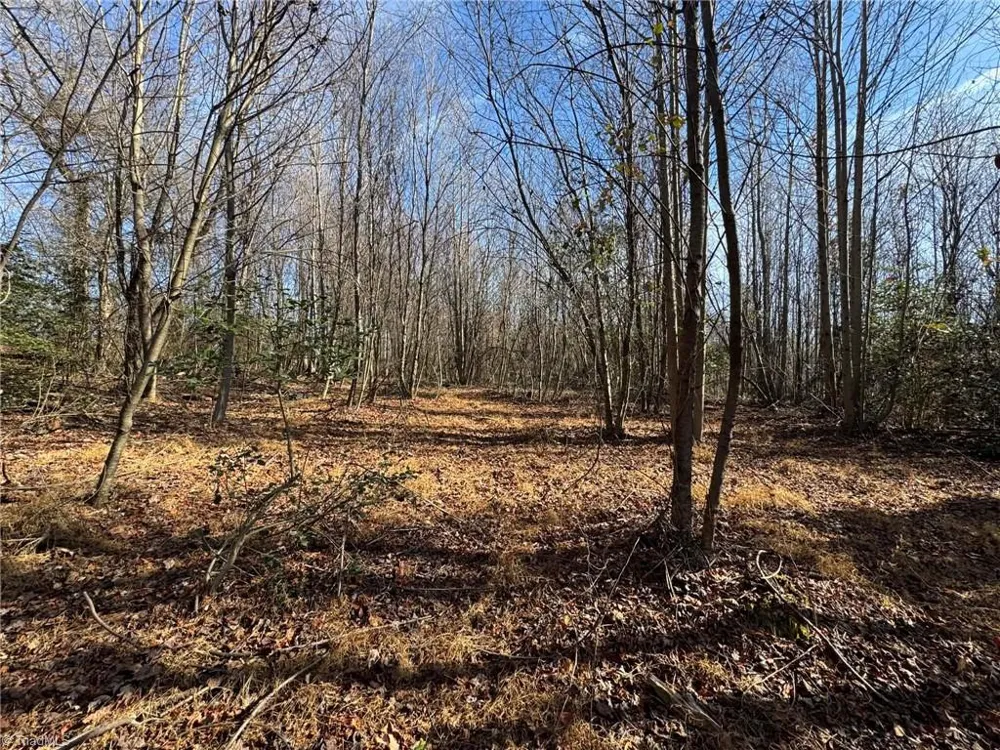 TBD Rock Creek Ch Road North Wilkesboro, NC 28659