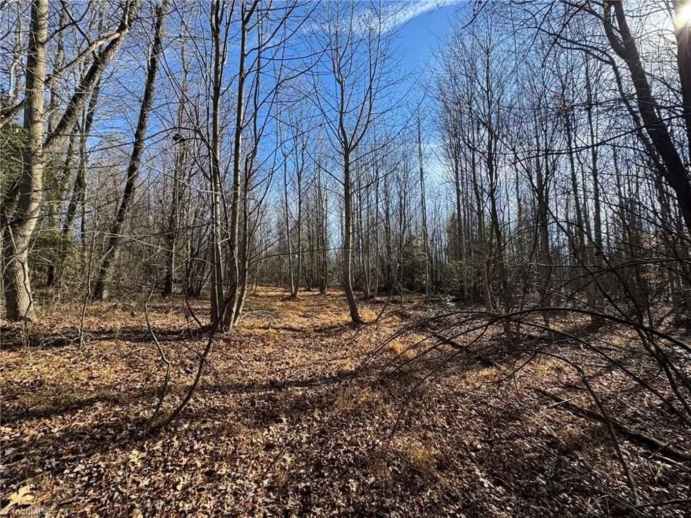 TBD Rock Creek Ch Road North Wilkesboro, NC 28659