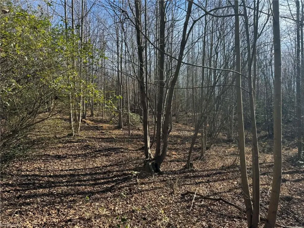 TBD Rock Creek Ch Road North Wilkesboro, NC 28659