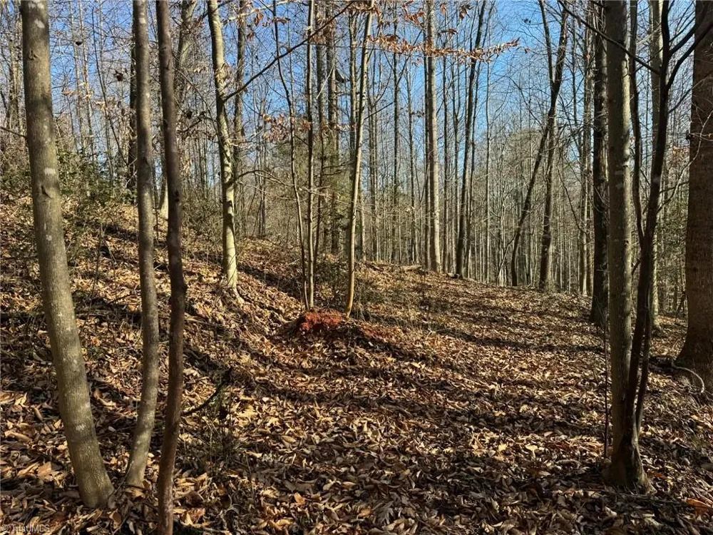 TBD Rock Creek Ch Road North Wilkesboro, NC 28659