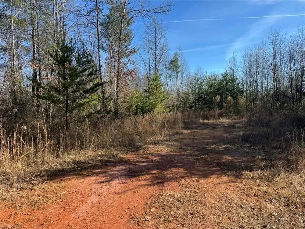 TBD Rock Creek Ch Road North Wilkesboro, NC 28659