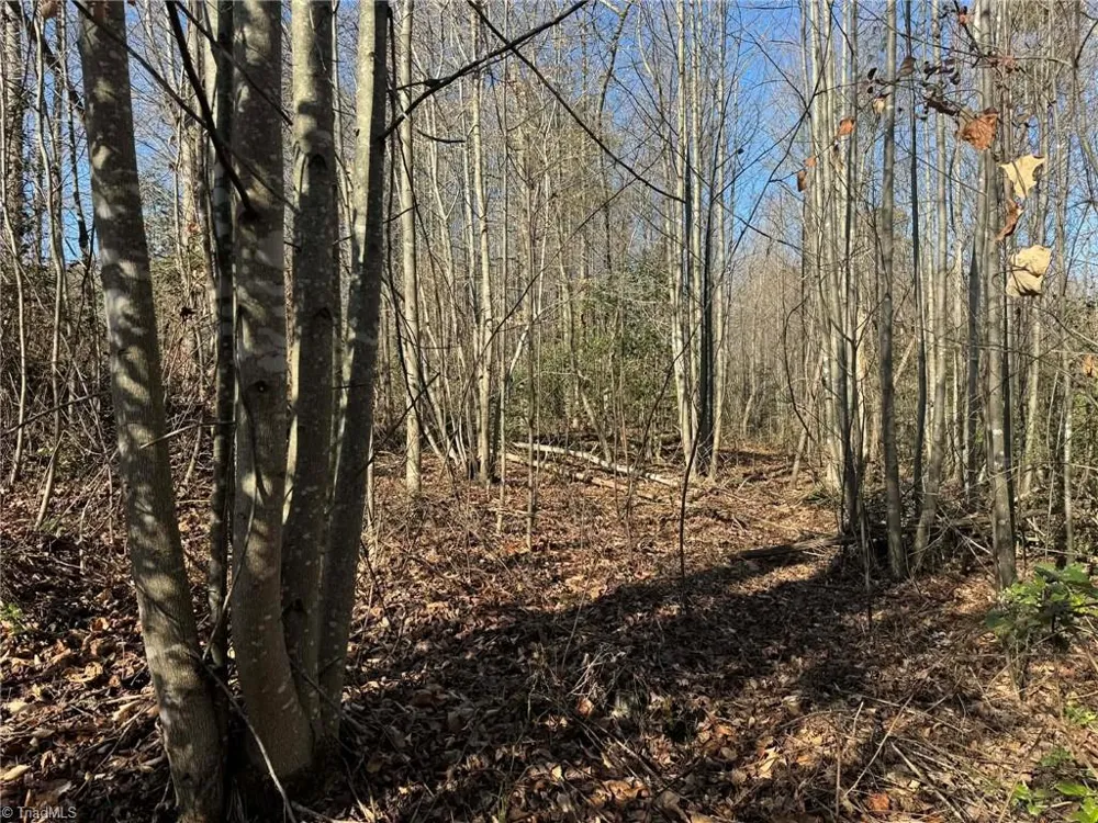 TBD Rock Creek Ch Road North Wilkesboro, NC 28659