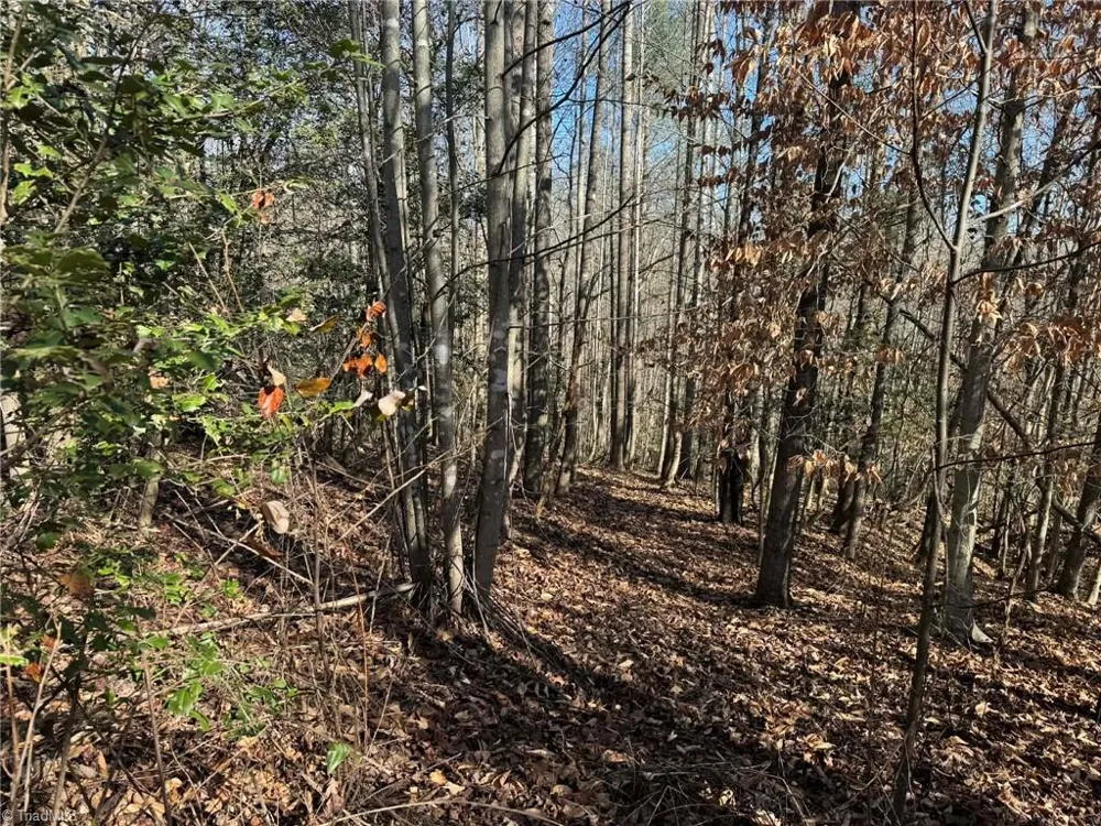 TBD Rock Creek Ch Road North Wilkesboro, NC 28659