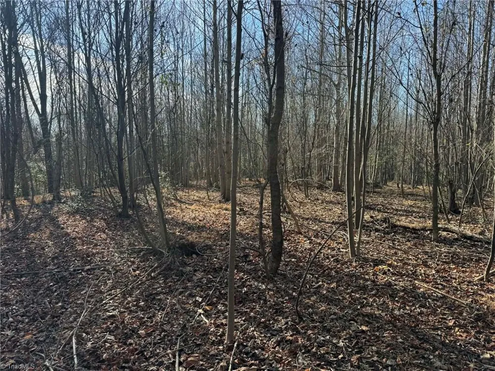 TBD Rock Creek Ch Road North Wilkesboro, NC 28659