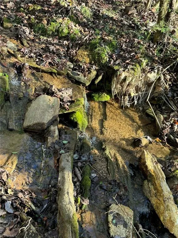 TBD Rock Creek Ch Road North Wilkesboro, NC 28659