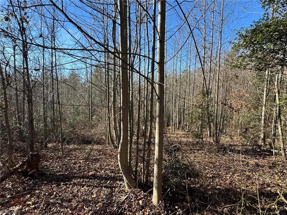 TBD Rock Creek Ch Road North Wilkesboro, NC 28659
