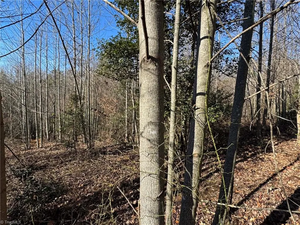 TBD Rock Creek Ch Road North Wilkesboro, NC 28659
