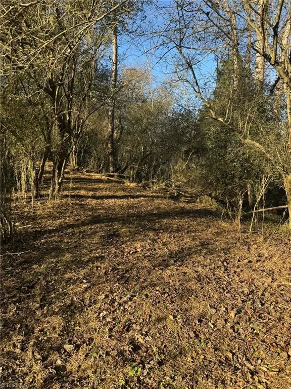 TBD Rock Creek Ch Road North Wilkesboro, NC 28659