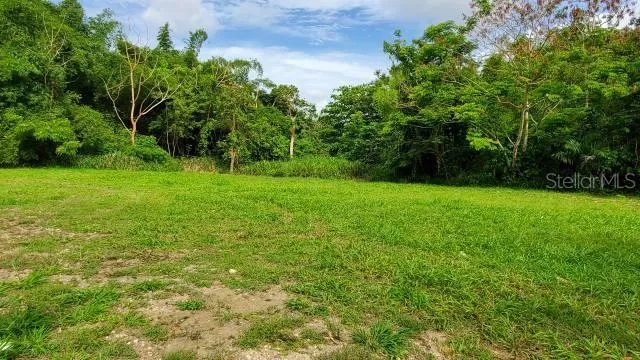 PR-22 INT PR-866 Bayamón, PR 00961