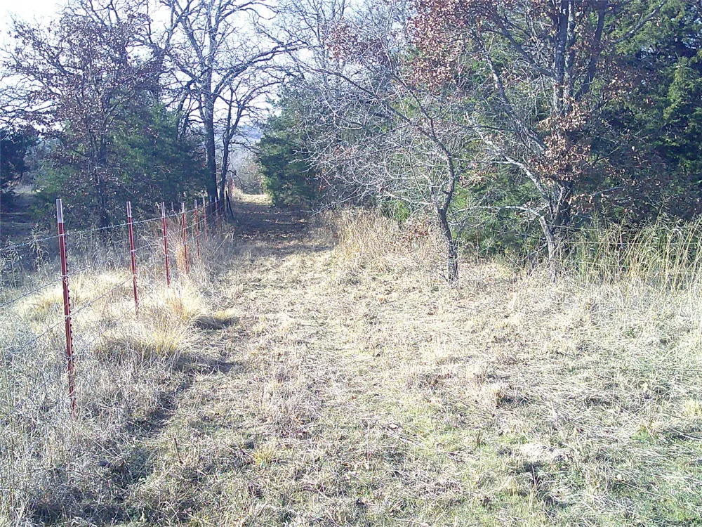 Starr Mann St Jo, TX 76265