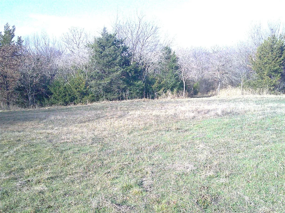 Starr Mann St Jo, TX 76265