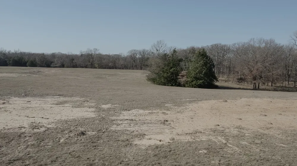 CR 1810 Grand Saline, TX 75140